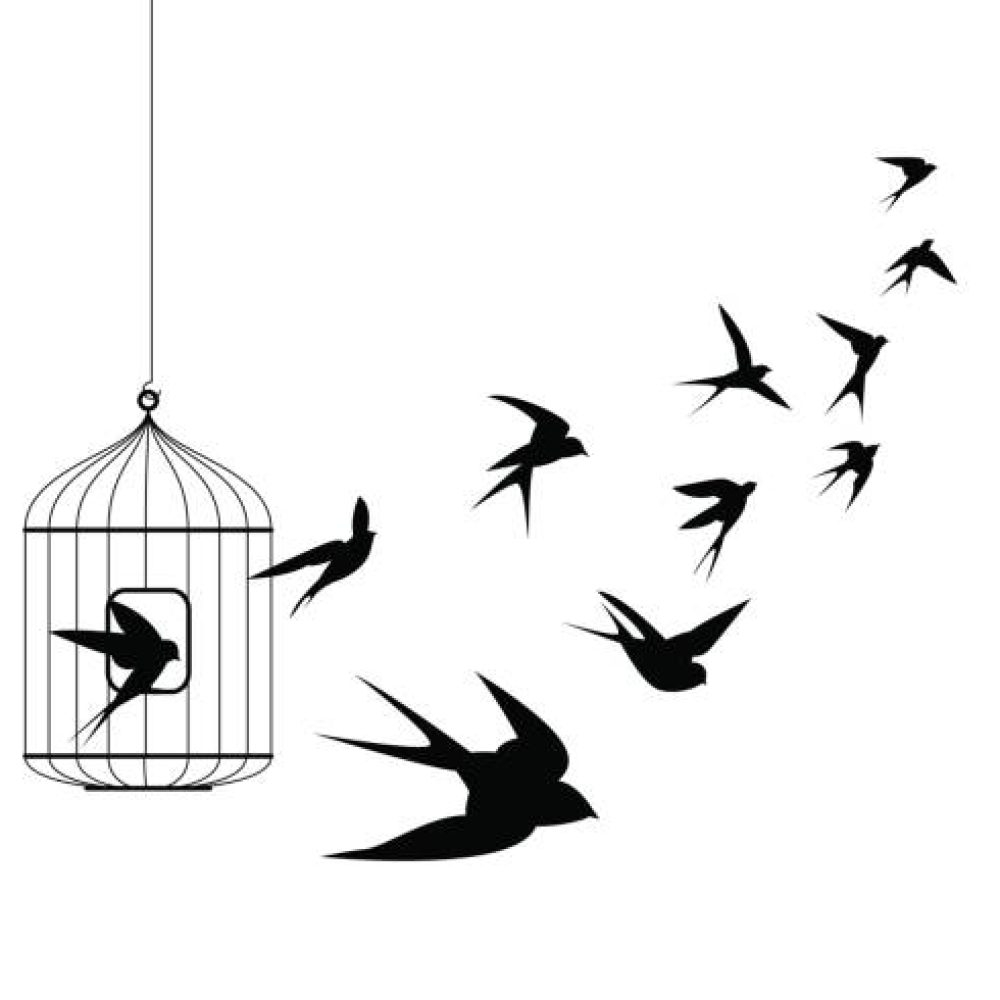 Liberation symbol. Swallow birds flying out of cage