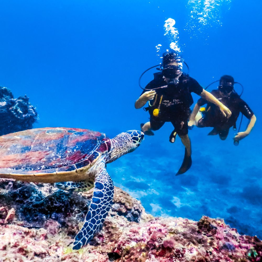 Mergulho de batismo em Koh Phi Phi